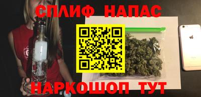 амф Бийск