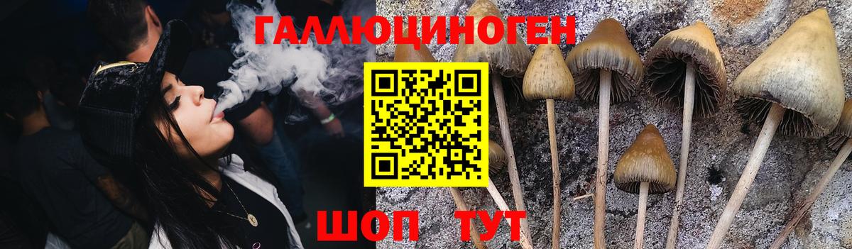 Псилоцибиновые грибы GOLDEN TEACHER Великий Новгород